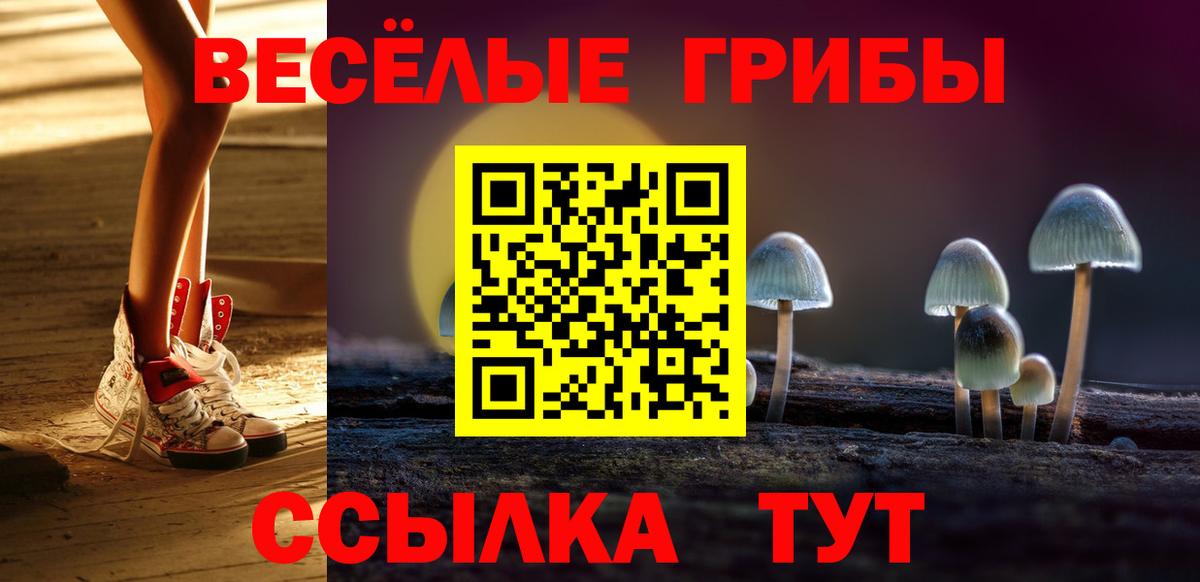 Псилоцибиновые грибы прущие грибы  Вход с VPN  Норильск 