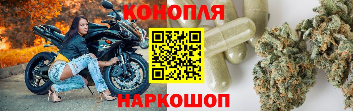 Бошки марихуана OG Kush  Вход с VPN  Норильск  Каннабис White Widow  Канабис индика 
